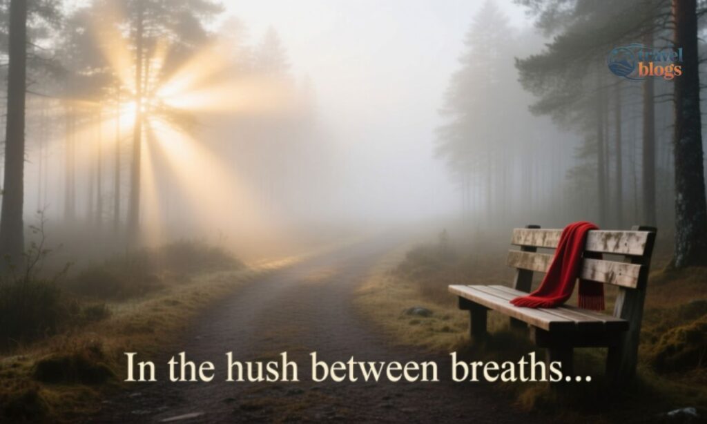 Creative Captions for Foggy Weather