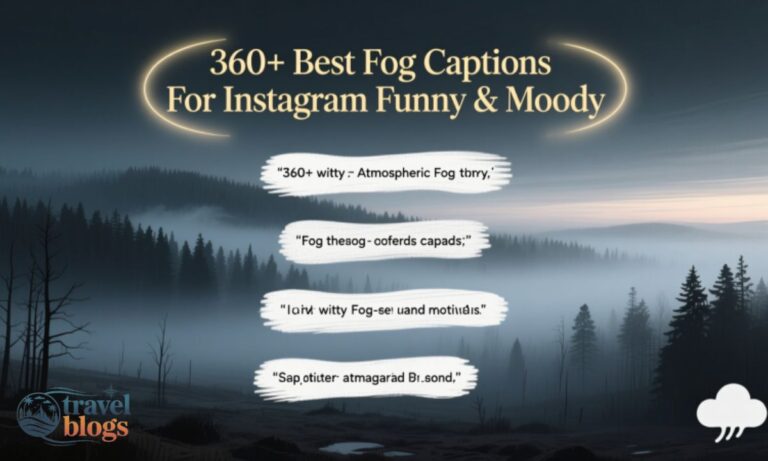 360+ Best Fog Captions For Instagram Funny & Moody