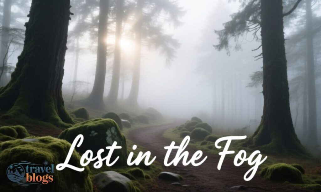 Best Fog Captions for Instagram
